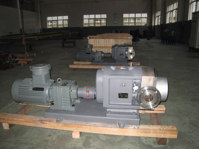 普利施65PLST6-10 日用化工轉子泵,甘油、化妝品料漿輸送泵 價格優(yōu)惠歡迎咨詢圖片_高清圖_細節(jié)圖-江蘇普利施泵業(yè) -